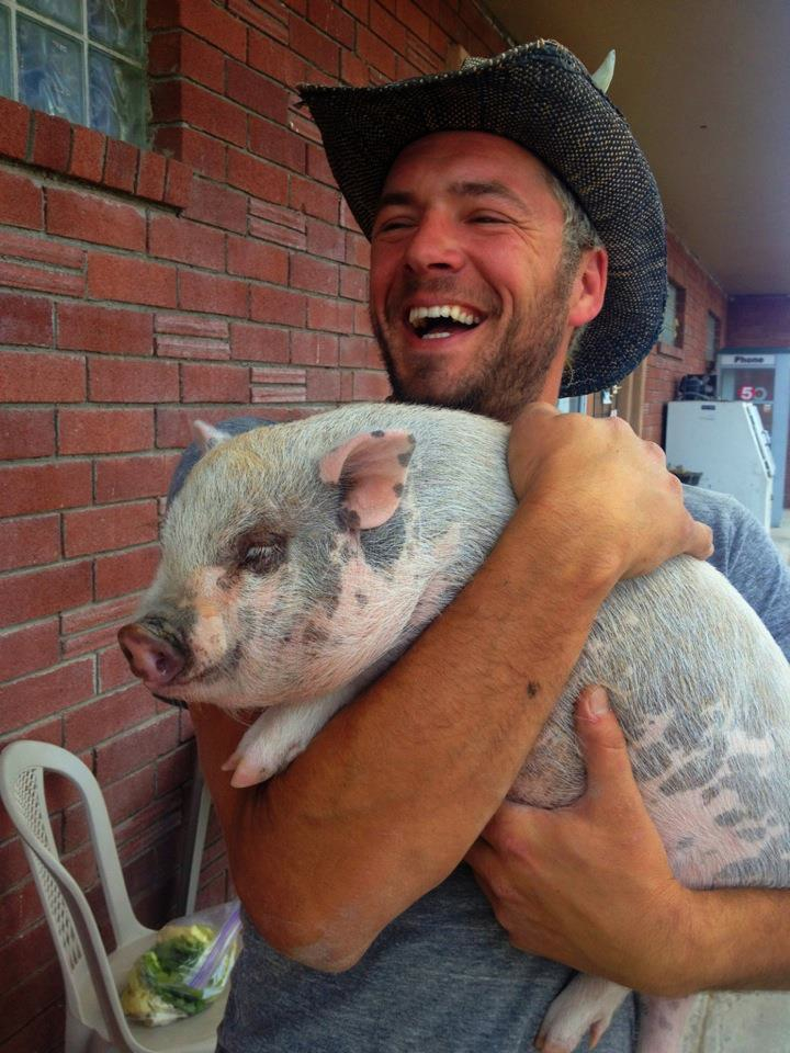 woodshop and pig